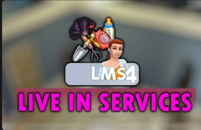 Live In Services
