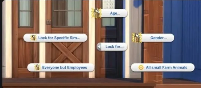 Lock Unlock Door