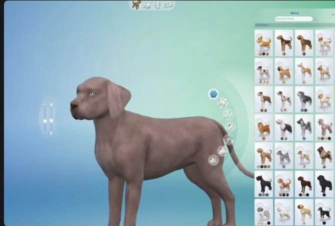 More Columns in CAS Pets